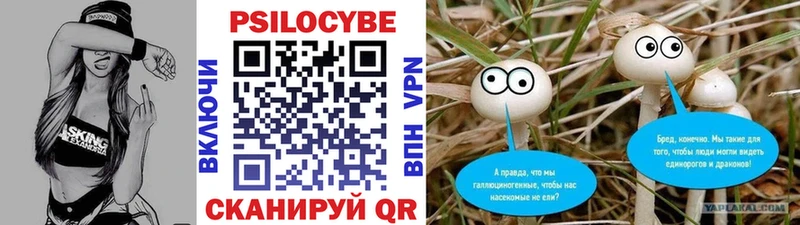 купить закладку  Богучар  Псилоцибиновые грибы прущие грибы 